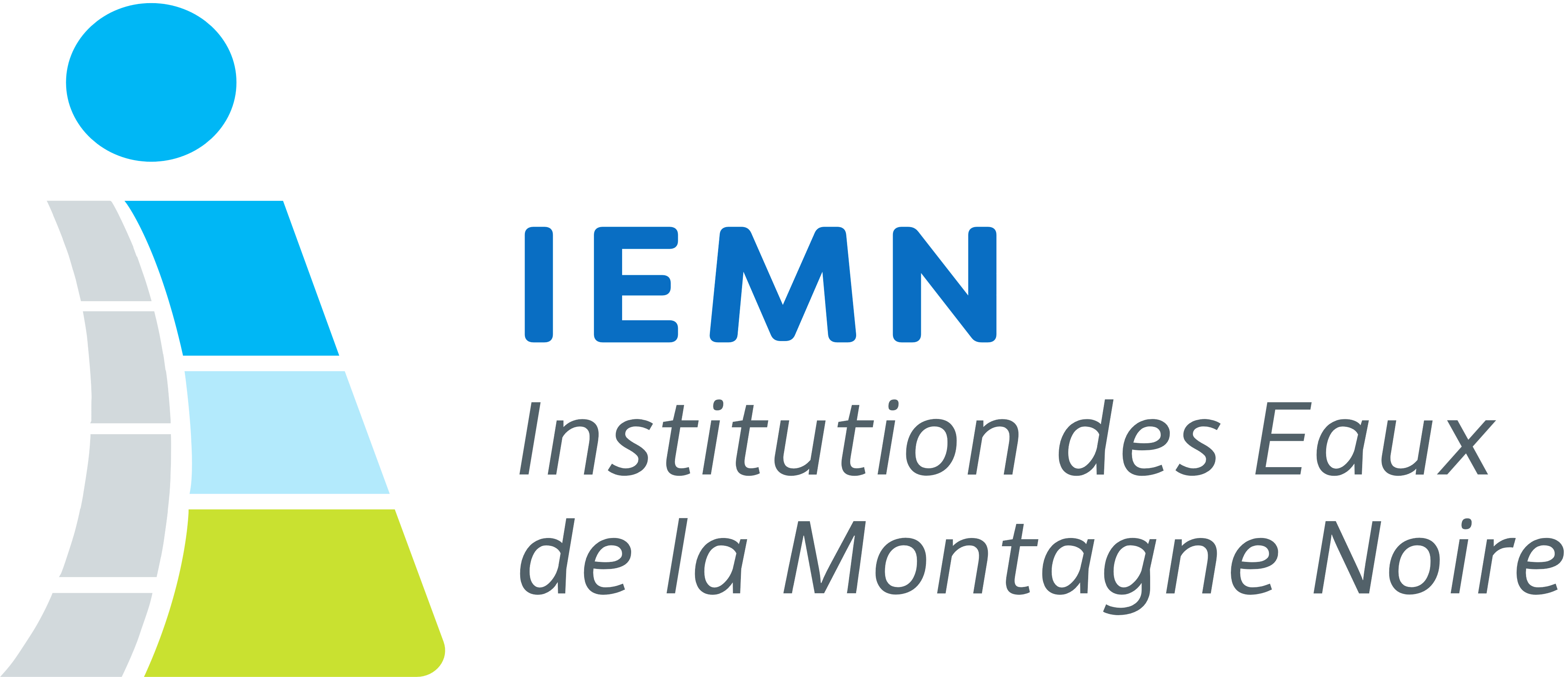 logo iemn