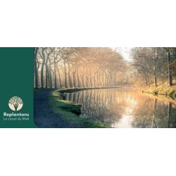 canal_430904485
