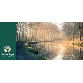 canal_608134084